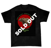 Men's t-shirt