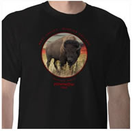 Men's t-shirt
